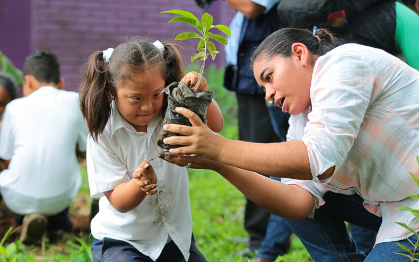 reforestacion